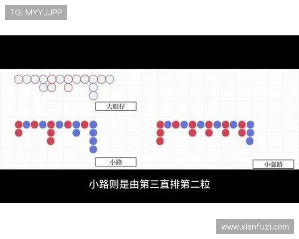 掌握dg百家樂免費玩的最新技巧，提升你的赢钱概率和游戏体验